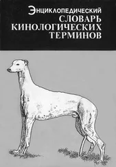 Харольд Спайра - Энциклопедический словарь кинологических терминов