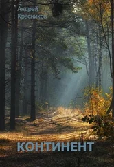 Андрей Красников - Континент
