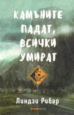 Линдзи Рибар Камъните падат, всички умират обложка книги