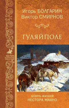 Игорь Болгарин Гуляйполе [litres] обложка книги