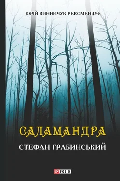 Стефан Грабинський Саламандра (збірник) обложка книги