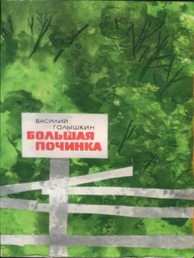 Василий Голышкин Большая починка обложка книги