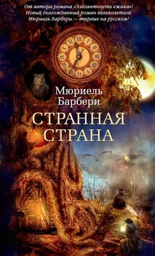 Мюриель Барбери Странная страна обложка книги