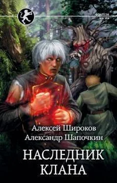 Александр Шапочкин Наследник клана [СИ с издат. обложкой и данными] обложка книги