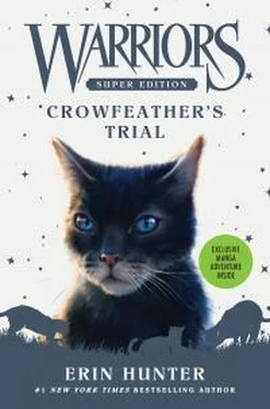 Эрин Хантер Crowfeather's Trial обложка книги