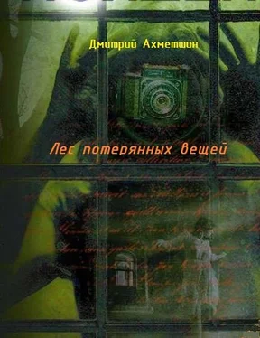 Дмитрий Ахметшин Лес потерянных вещей обложка книги