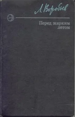 Лев Воробьёв Перед жарким летом обложка книги