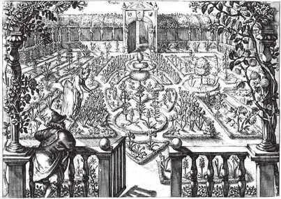 Голландский сад Гравюра Криспина ван де Пассе из книги Hortus floridus 1614 - фото 29