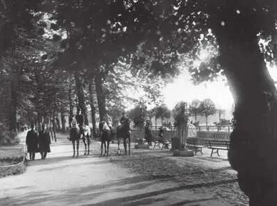 Летний сад Аллея со стороны Лебяжьего канала Фото К К Буллы 1913 - фото 69