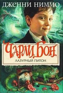 Дженни Ниммо Лазурный питон обложка книги