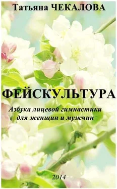 Татьяна Чекалова Фейскультура обложка книги