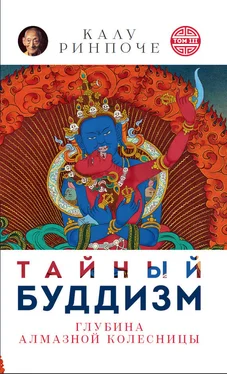 Кьябдже Ринпоче Тайный буддизм. Том III. Глубина Алмазной колесницы обложка книги