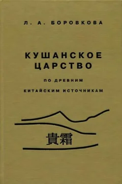 Людмила Боровкова Кушанское царство обложка книги