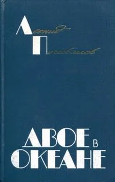 Леонид Почивалов Двое в океане [Хроника одного рейса] обложка книги