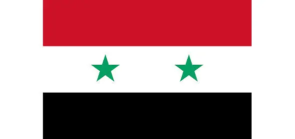 1 Сирия 2 Сирия 2003 Сирийский фунт лира представлен выше - фото 49