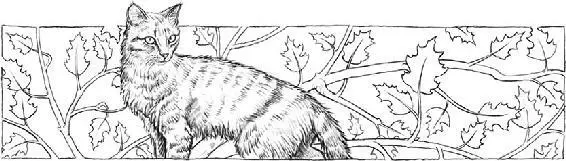 Fluffing her fur out against the cold Twigkit followed Alderpaw through the - фото 12