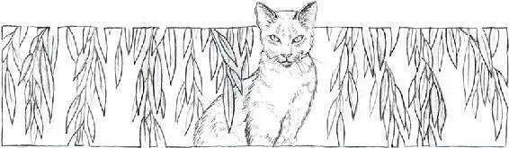 And thenSparkpelt followed Alderpaw onto the bridgeSpikefur told - фото 18