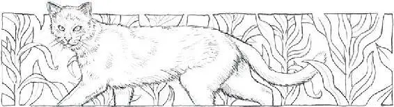Violetpaw rolled over in her nest half waking as fur brushed the door of the - фото 20