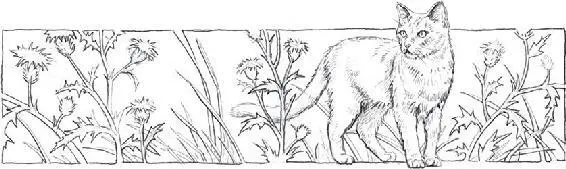 Alderpaw A hiss woke him He j erked up his head blinking in the pale dawn - фото 21