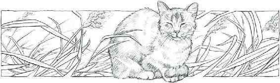 Catching his breath Alderpaw paused on the last rocky slope that led to the - фото 24