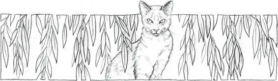 Jayfeather scrambled up the slope that led to the Moonpool his paws skidding - фото 3