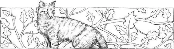 Alderpaw will you concentrate Molewhisker gave an irritable lash of his - фото 7