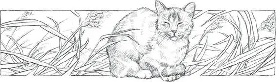 When Alderpaw arrived at the medicine cats den the following morning he saw - фото 9
