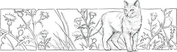 Left alone in the den Alderpaw went back to the tasks of sorting dried herbs - фото 11
