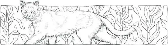 Alderpaw and Needlepaw were approaching the first Thunderpath they had crossed - фото 25