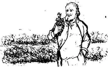 Начиная с ранней весны и пока снег не притрусит землю за ним уход да уход - фото 29