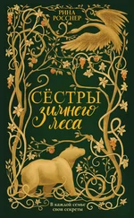 Рина Росснер - Сестры зимнего леса [litres]