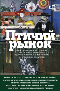 Анна Матвеева Птичий рынок обложка книги