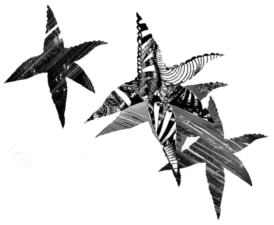 Меня обожгло в полосе водорослей возле берега Как будто ктото приложил - фото 9