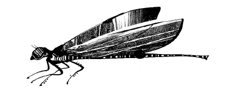 От Михайловского до Петровского можно добраться несколькими способами - фото 19