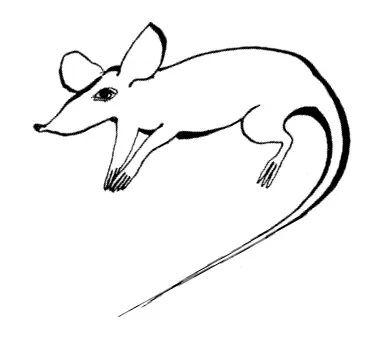 Вот идешь бывает бульваром весенним топленым вечером всё вокруг в сердце - фото 22