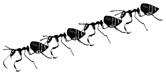 Всё было примерно тогда как Момент то есть много нужно было усилий чтобы - фото 23