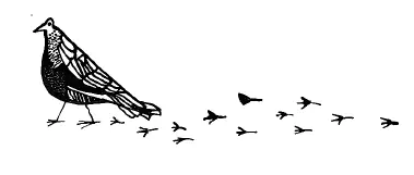 Левитан запутавшись в женщинах с досады застрелил чайку Всё остальное - фото 25