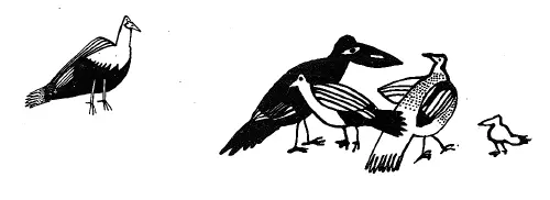 Майя Кучерская Котя Мотя 1 А было так Приближался Новый год и тетя Женя Тэ - фото 26