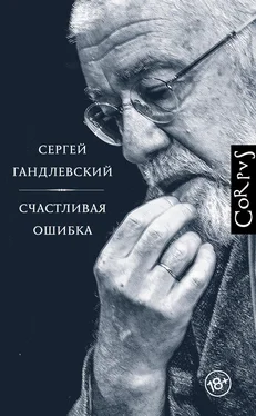 Сергей Гандлевский Счастливая ошибка [стихи и эссе о стихах] обложка книги