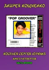 Андрей Кощиенко - Айдол-ян. Книга 4, часть 2 [СИ]