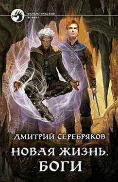 Дмитрий Серебряков Новая жизнь. Боги обложка книги