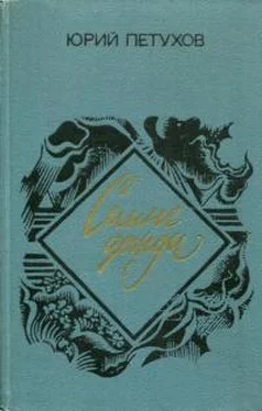 Юрий Петухов Синие дожди обложка книги