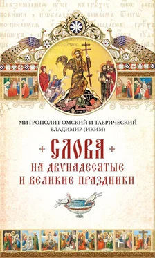 Митрополит Владимир (Иким) Слова на двунадесятые и великие праздник обложка книги