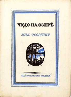 Михаил Осоргин Чудо на озере обложка книги