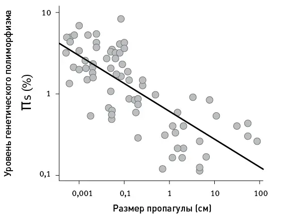 рис 191Размер пропагулы коррелирует с уровнем генетического полиморфизма π - фото 73