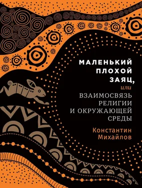 Константин Михайлов Маленький плохой заяц, или Взаимосвязь религии и окружающей среды обложка книги