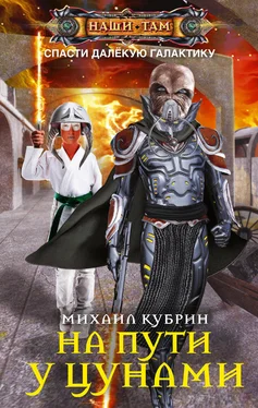 Михаил Кубрин На пути у цунами [litres] обложка книги
