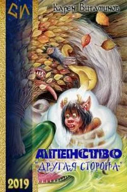 Карен Витаминов Агентство Другая Сторона [CИ] обложка книги