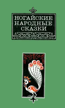 Аждаут Ногай Ногайские народные сказки обложка книги