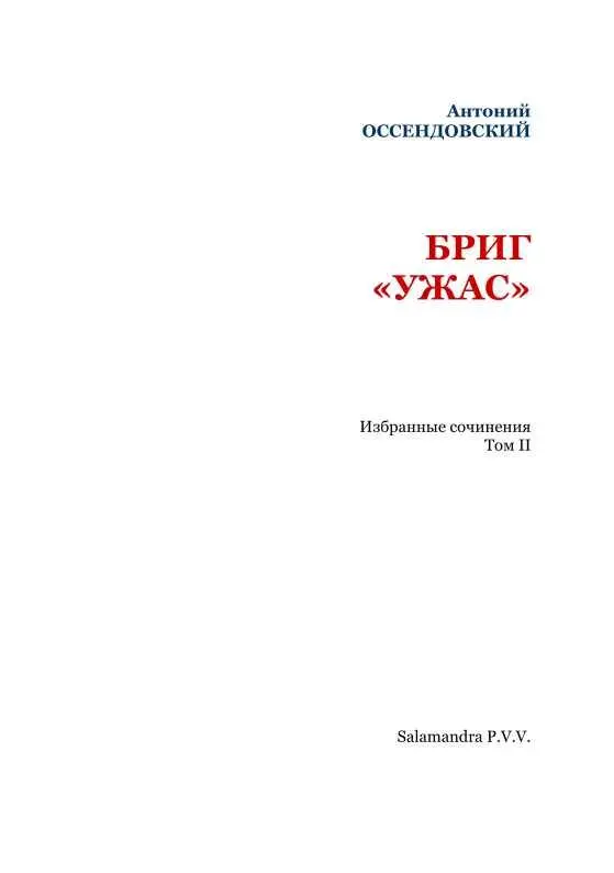 БРИГ УЖАС На берегу БольшеЗемельской тундры найден сгнивший остов - фото 3